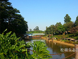 东莞松湖生态园基地